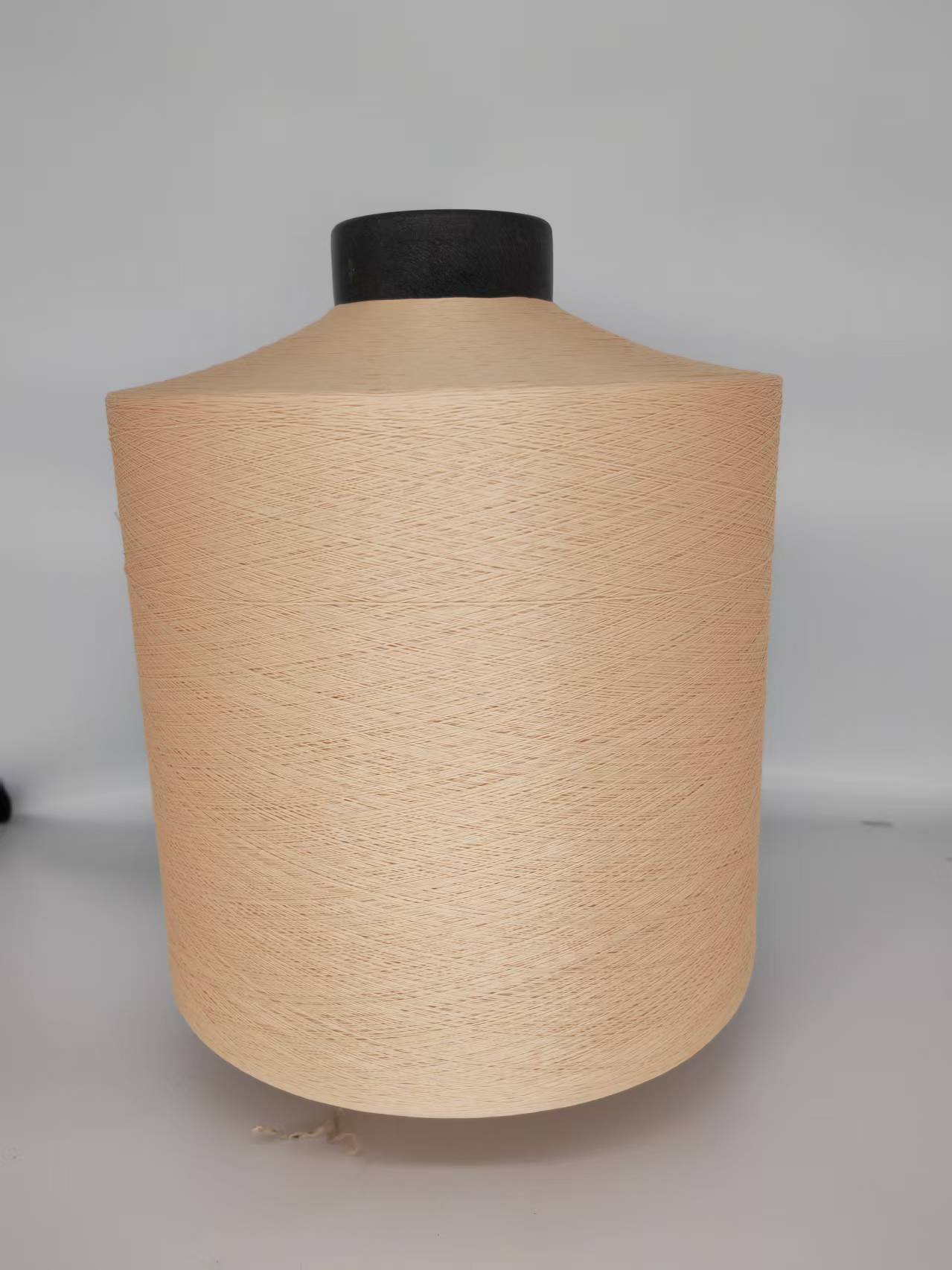 Sợi màu polyester cho dây thừng và webbing